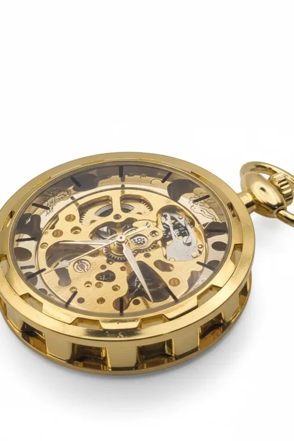 FAC-070-pocket-watch-1 Black Spoked Gold Pocket Watch product image