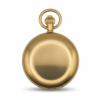 Polished Gold Double Hunter Fob Watch product image